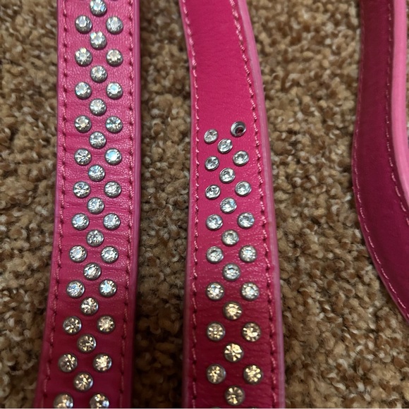 Other - Larger Collar with Matching Leash